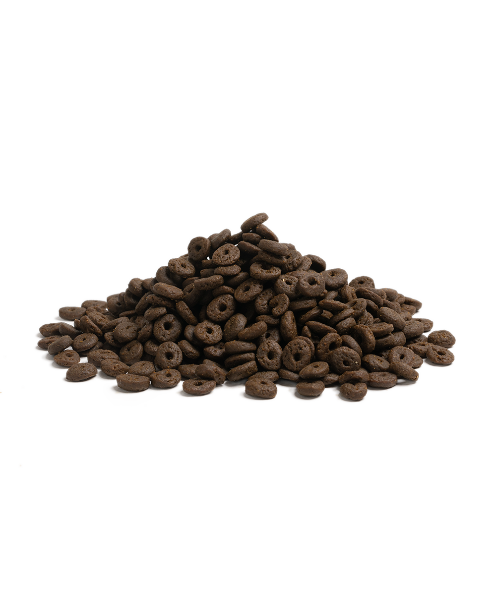 Best Pet Groomer in the East